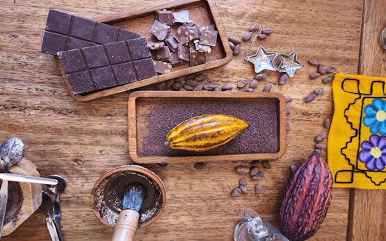 best cocoa in Brussels activity fun